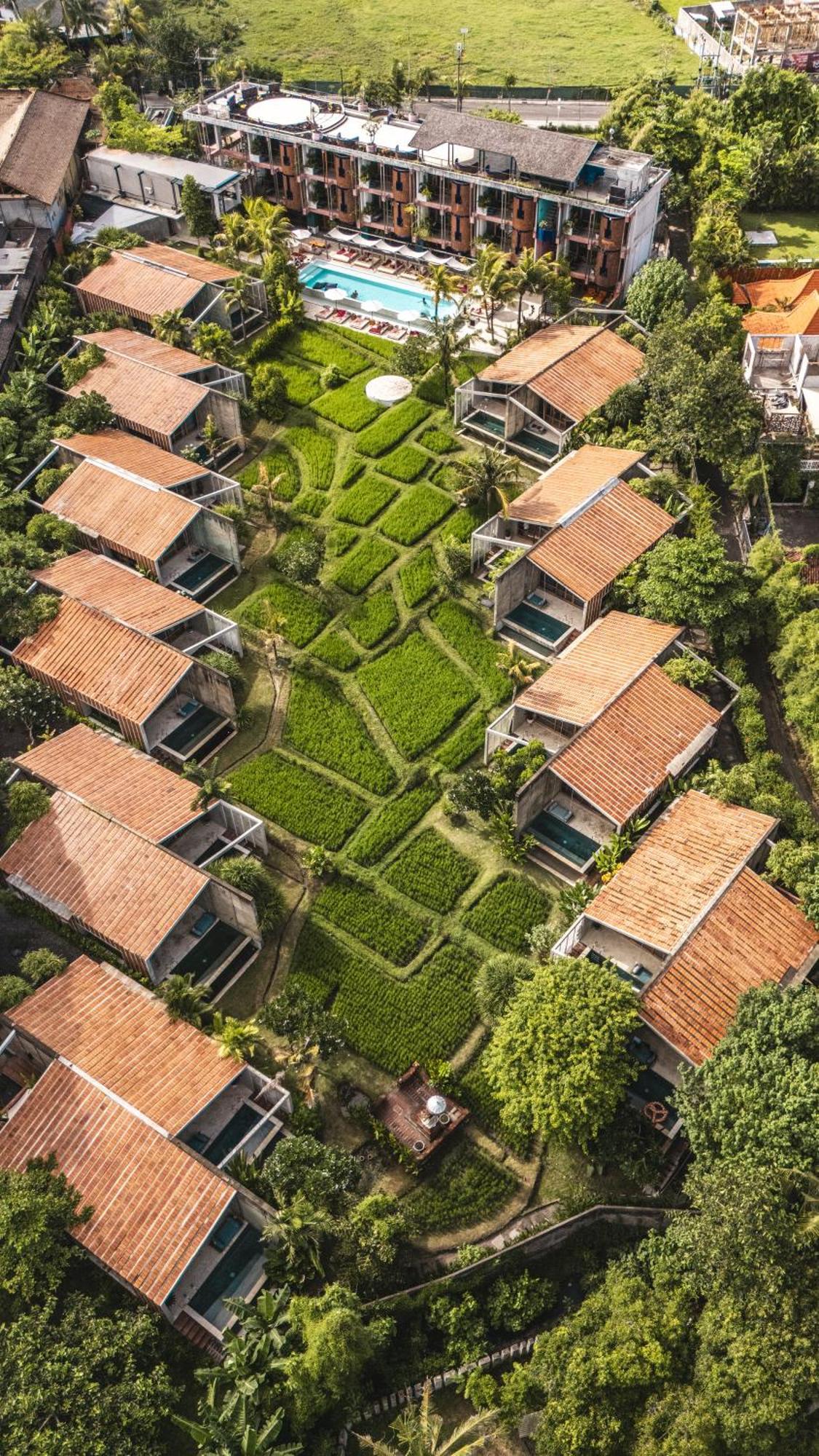 Shore Amora Canggu Eksteriør bilde
